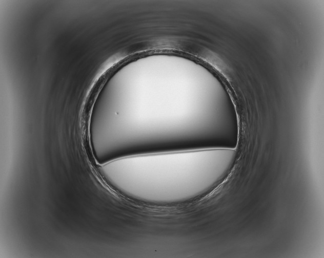 X0000087561119200704270921