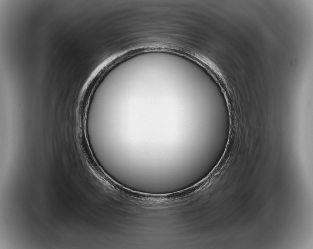 X0000087561120200704270921