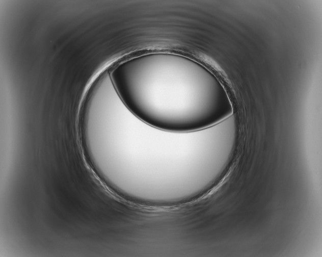 X0000087561122200704270921