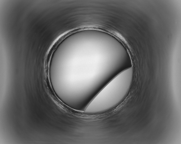 X0000087561124200704270921