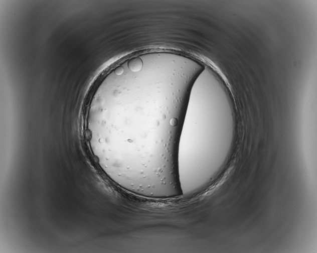 X0000087561125200704270921