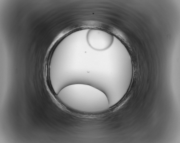 X0000087561130200704270921