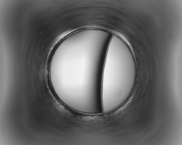 X0000087561133200704270921