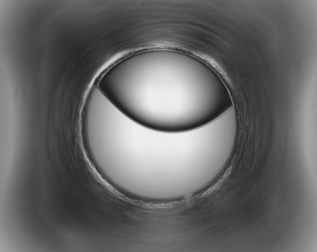 X0000087561134200704270921