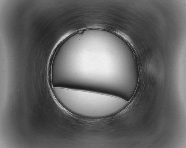 X0000087561135200704270921