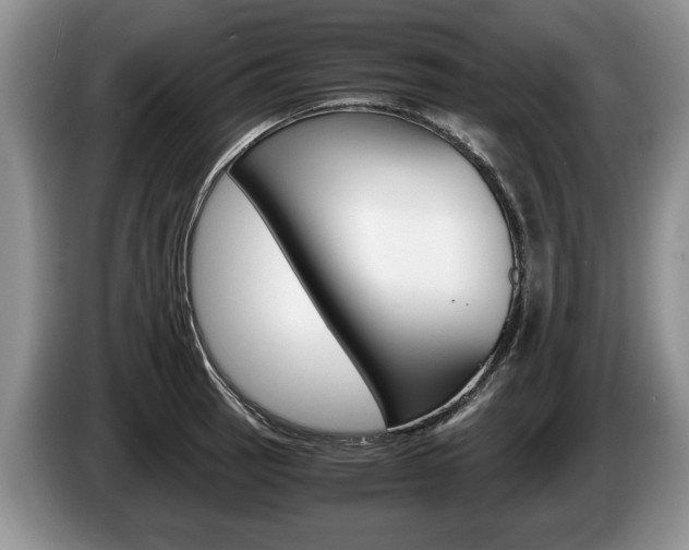 X0000087561137200704270921