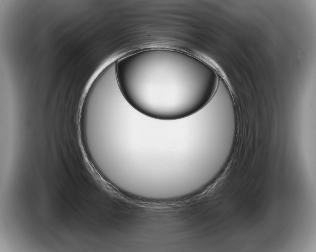 X0000087561138200704270921
