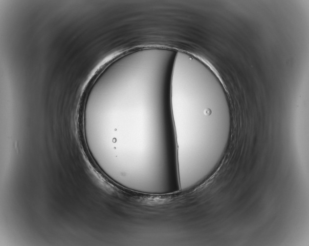 X0000087561139200704270921