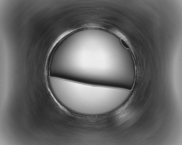 X0000087561141200704270921