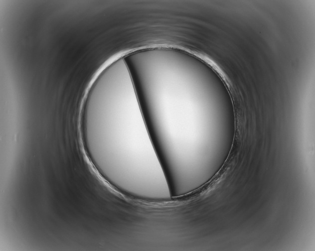 X0000087561142200704270921