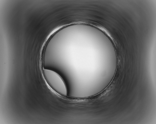 X0000087561143200704270921