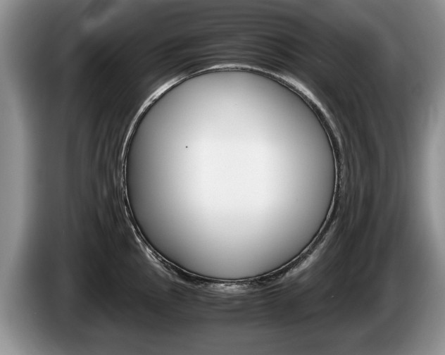 X0000087561145200704270921