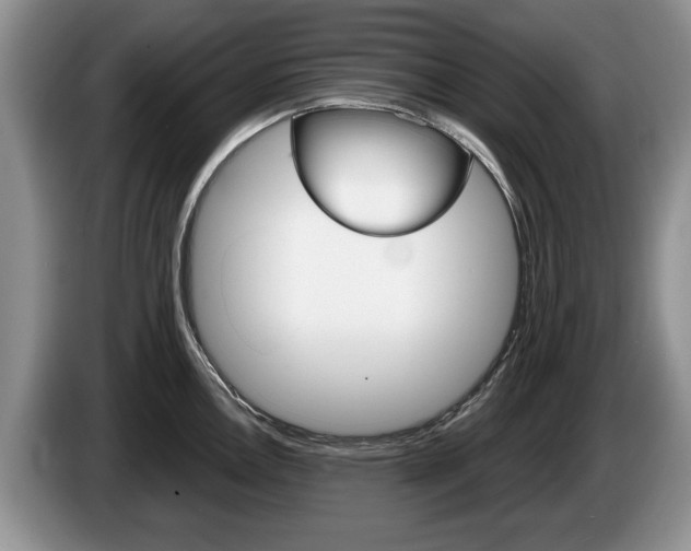 X0000087561146200704270921