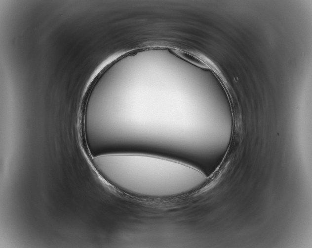 X0000087561149200704270921