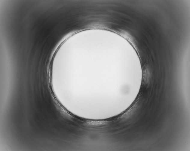 X0000087561150200704270921