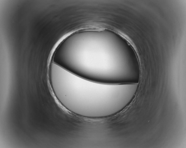 X0000087561152200704270921