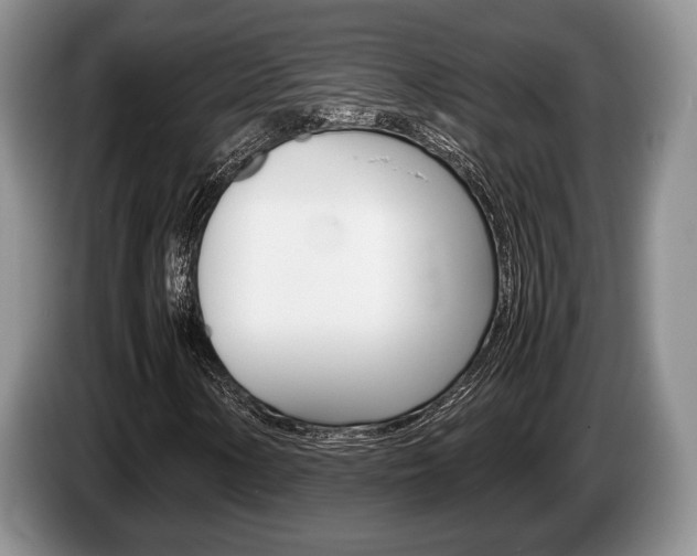 X0000087561154200704270921