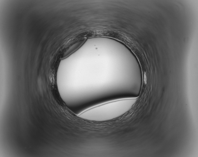 X0000087561155200704270921