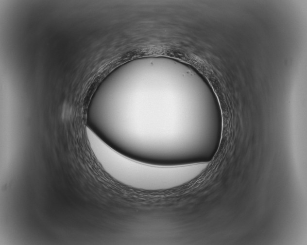 X0000087561157200704270921