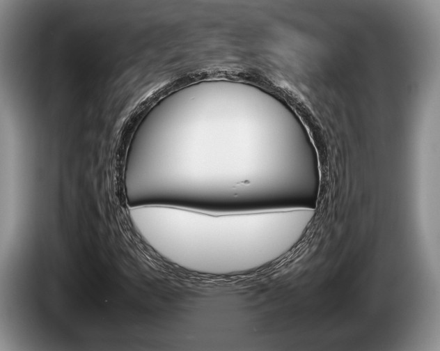 X0000087561159200704270921