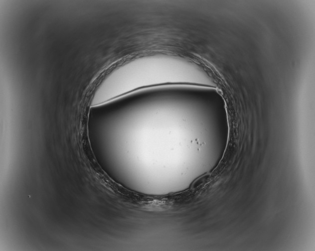 X0000087561160200704270921