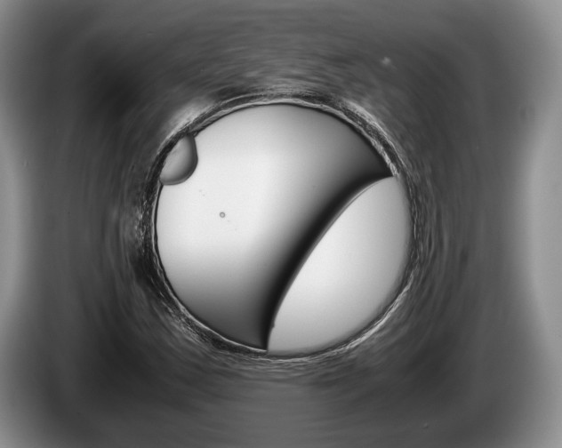 X0000087561163200704270921