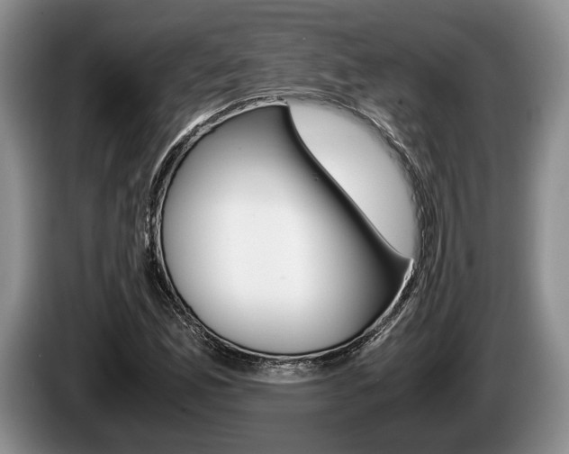 X0000087561165200704270921