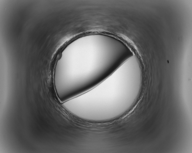 X0000087561167200704270921