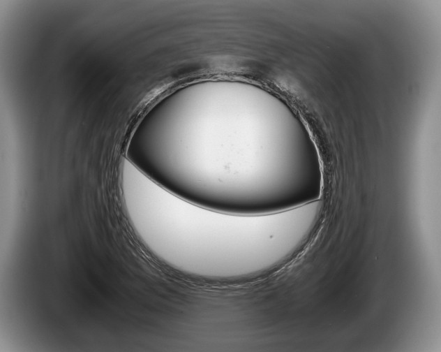 X0000087561169200704270920