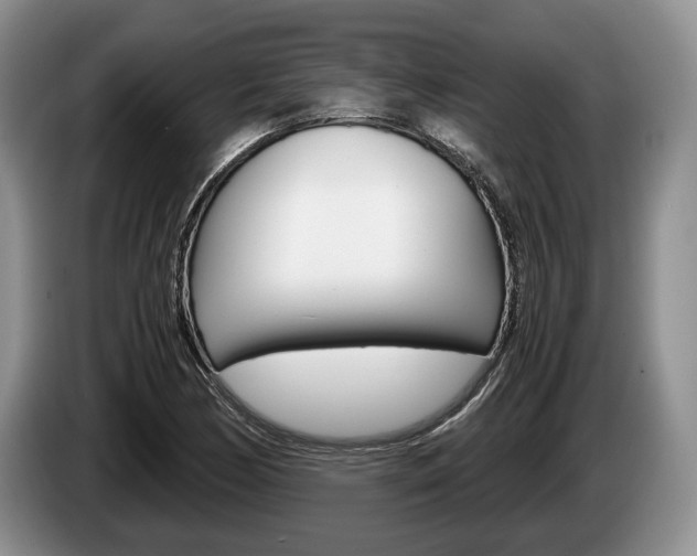 X0000087561170200704270920