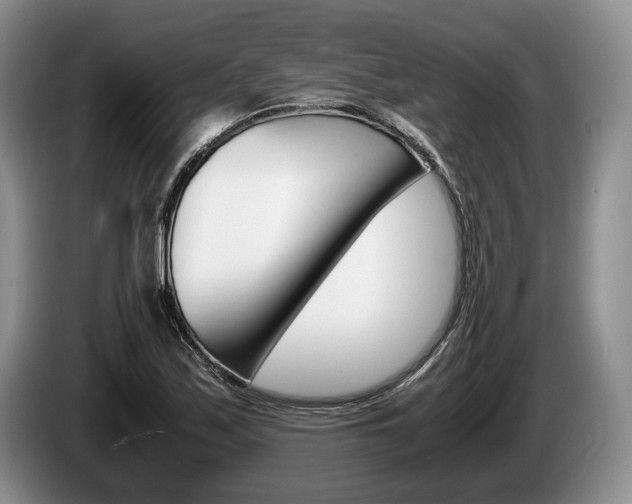 X0000087561171200704270920