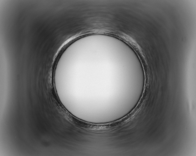 X0000087561174200704270920