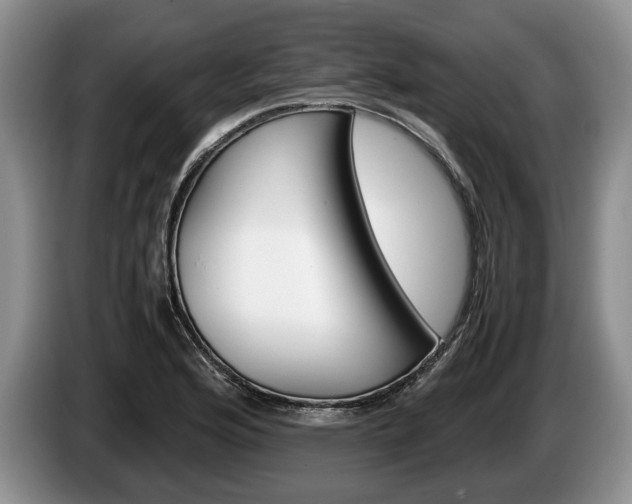 X0000087561176200704270920