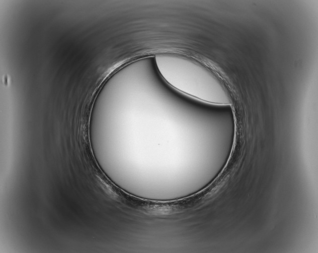 X0000087561177200704270920