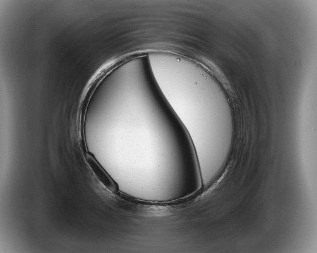 X0000087561180200704270920