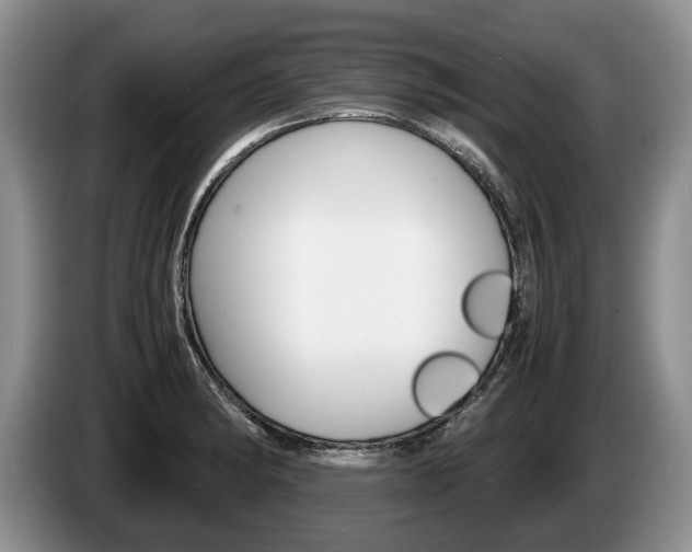X0000087561182200704270920