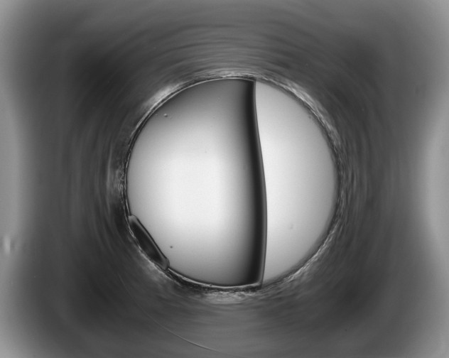 X0000087561185200704270920