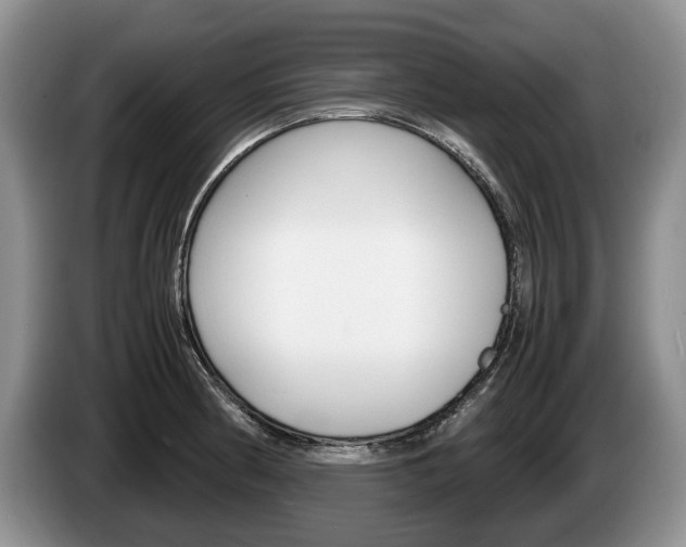 X0000087561186200704270920