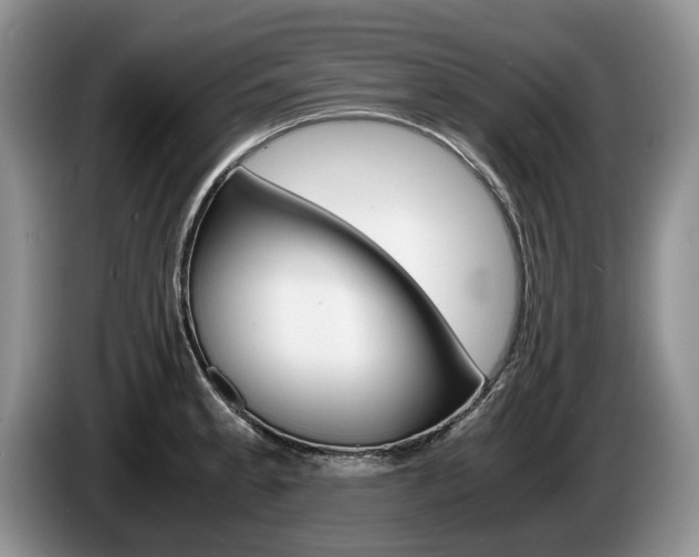 X0000087561189200704270920