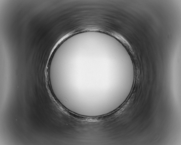 X0000087561190200704270920