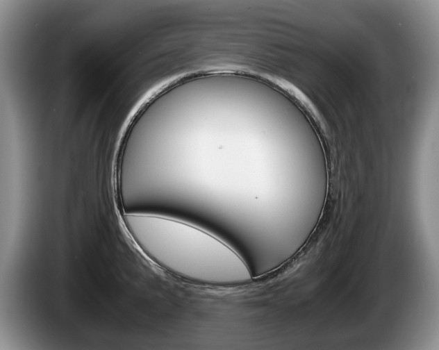 X0000087561191200704270920