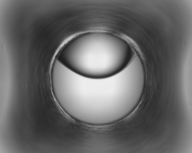 X0000087561192200704270920