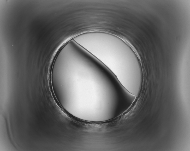 X0000087561197200704270920