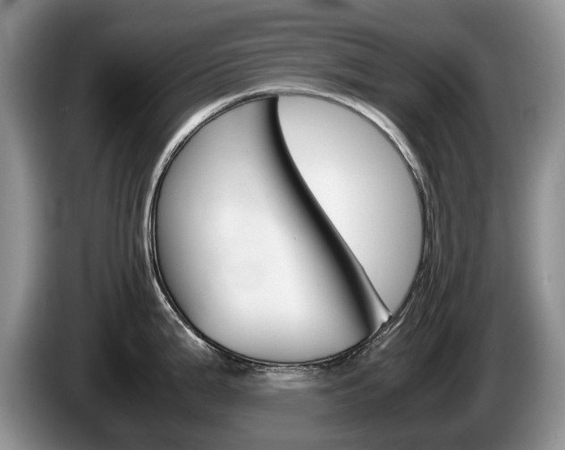 X0000087561199200704270920