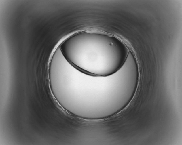 X0000087561200200704270920
