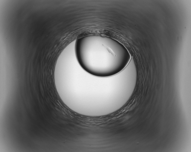 X0000087561202200704270920
