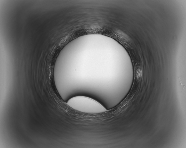 X0000087561204200704270920
