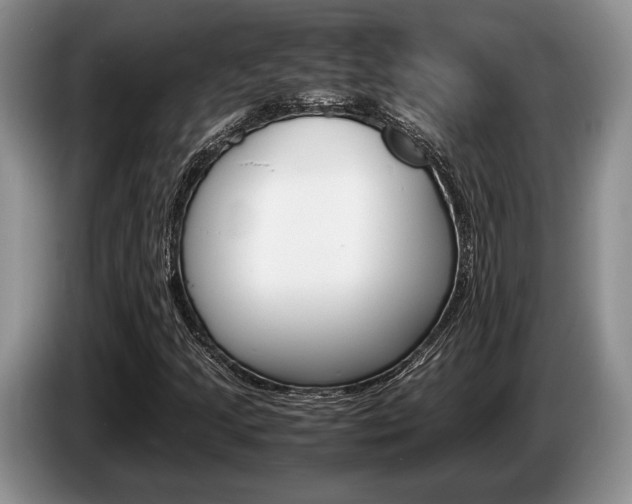 X0000087561205200704270920