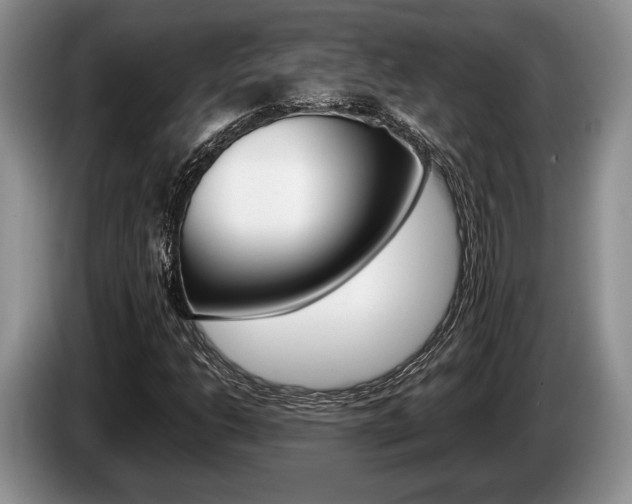 X0000087561206200704270920