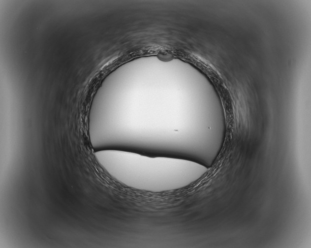 X0000087561207200704270920